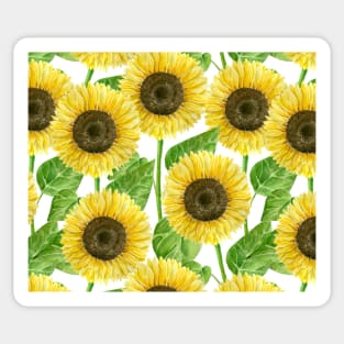 Sunflowers watercolor Sticker